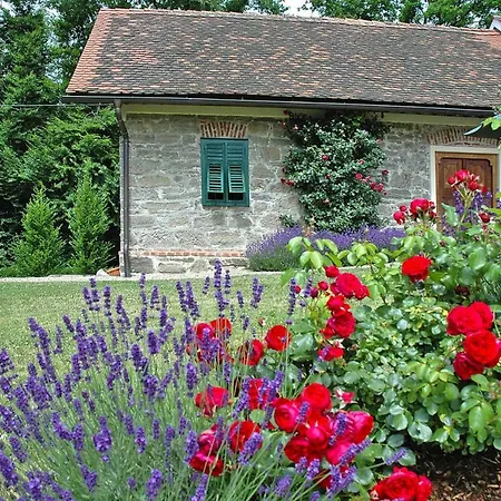 펜션 Country House Austria - Osm02010-fyb *